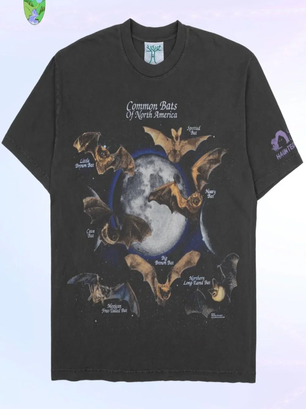 Online Ceramics Common Bats of North America Tee Black T-Shirt Sz L